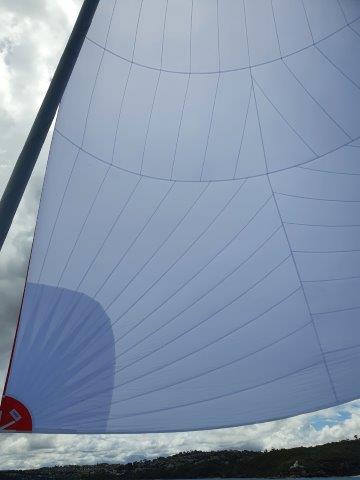 Asymmetrical Spinnaker (NEW BUILD) #ASP-155