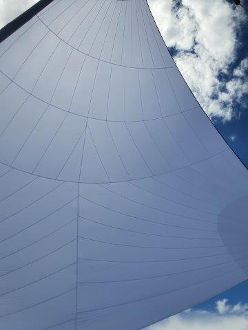 Asymmetrical Spinnaker (NEW BUILD) #ASP-155